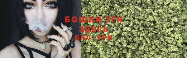 соль ск Липки