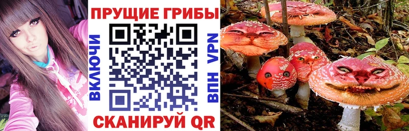 купить наркоту  Котово  Псилоцибиновые грибы Magic Shrooms 